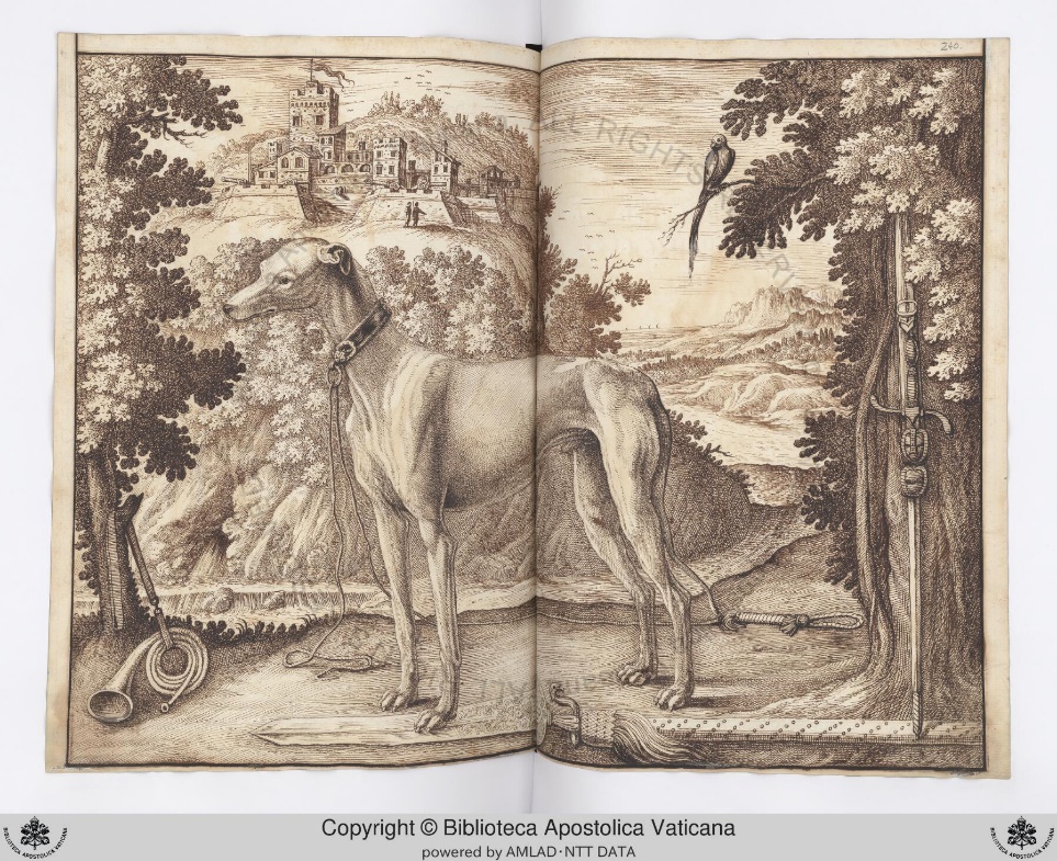 Il Cacciatore. Greyhound Primo.